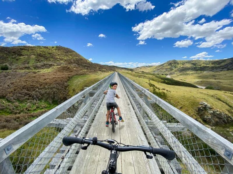 Dunedin: Scenic Railway Tour Through the Taieri Gorge - An Overview of the Journey