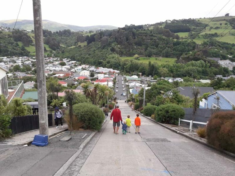 Dunedin: Small Group City Highlights Tour - Why This Tour Offers Great Value