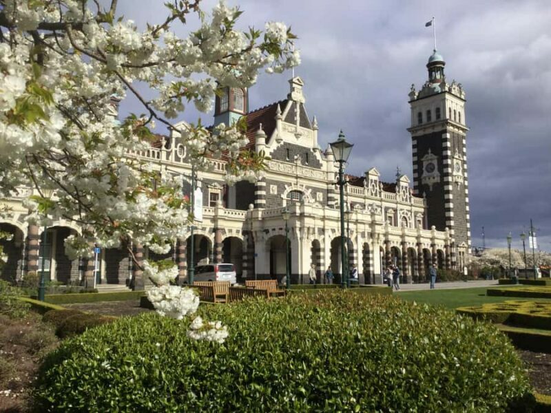 Dunedin: Small Group City Highlights Tour - Authentic Experiences and Genuine Insights
