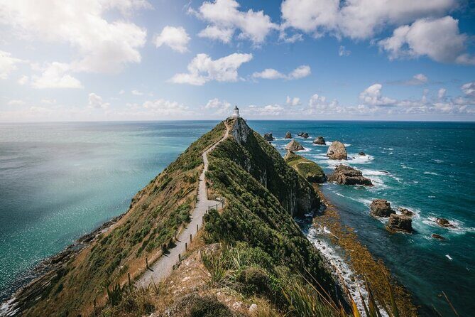 Dunedin to Invercargill via the Catlins 1 Way Small Group Tour - Key Points