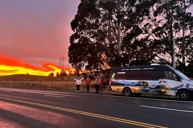 Dunedin to Invercargill via the Catlins 1 Way Small Group Tour - An In-Depth Look at the Itinerary and Experience