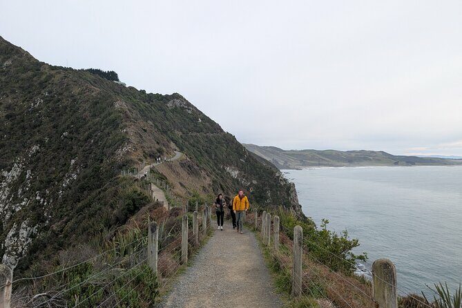 Dunedin to Te Anau via the Catlins One Way Small Group Tour - FAQs