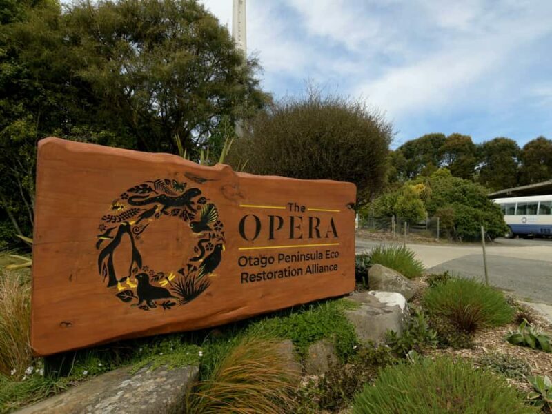 Dunedin: Wildlife and Penguin Tour - An Honest Look at the Tour Experience