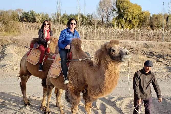 Dunhuang Private Camel Riding in the Gobi Desert - Good To Know