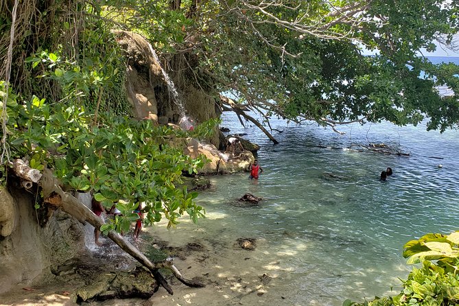 Dunns Falls and Blue Hole Daytrip With Lunch From Montego Bay & Trelawny - Guides and Customer Feedback