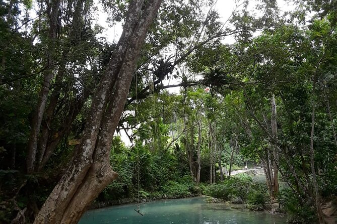 Dunns Falls and Blue Hole Daytrip With Lunch From Montego Bay & Trelawny - Booking and Confirmation Details