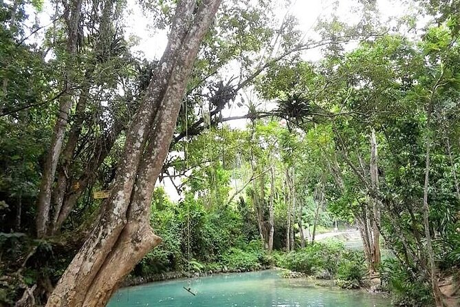 Dunns Falls Half-Day Tour From Runaway Bay - What to Expect