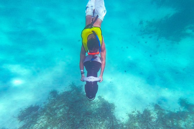 Dunns River Climb and Catamaran Cruise From Ocho Rios - Participant Information