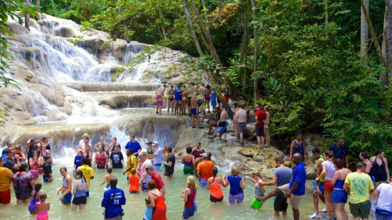 Dunn's River Falls, 9 Mile/ Blue hole - Who Will Love This Tour?