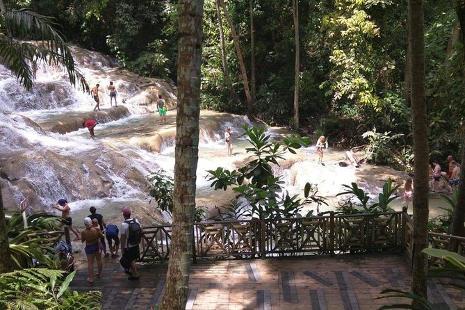 Dunns River Falls and Beach From Ocho Rios Jamaica - Inclusions and Exclusions