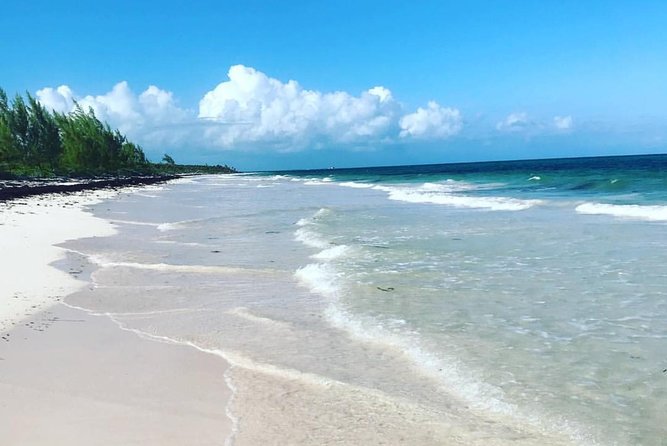 Dunns River Falls and Beach From Ocho Rios Jamaica - Scenic Highlights