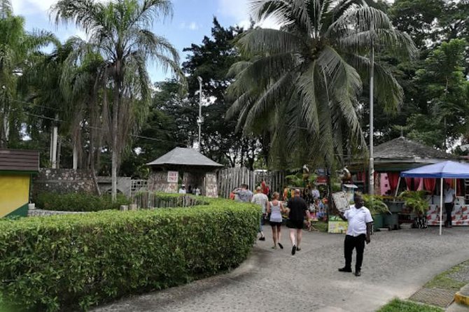 Dunns River Falls and Blue Hole Secret Falls - Reviewing the Tour Inclusions