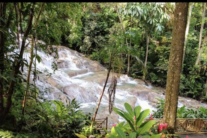 Dunns River Falls and Blue Hole Secret Falls - Analyzing the Tour Reviews