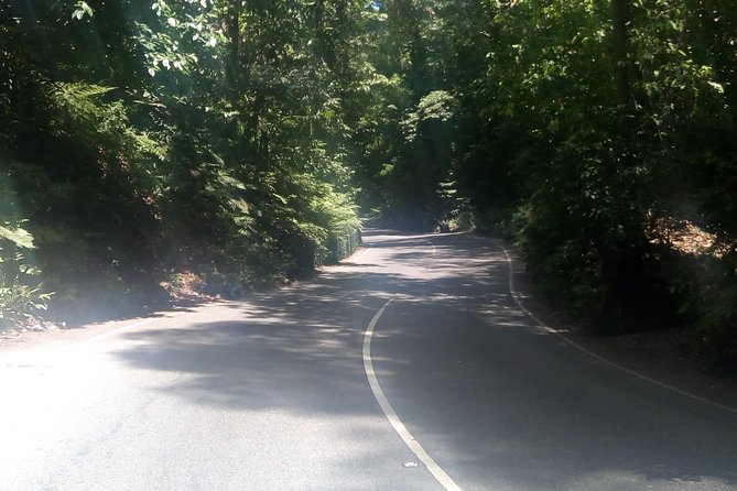 Dunns River Falls and Fern Gully Adventure Tour From Montego Bay - Important Information