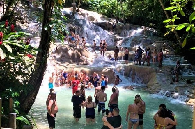 Dunns River Falls and Fern Gully Highlight Adventure Tour From Runaway Bay - Highlights of Dunns River Falls