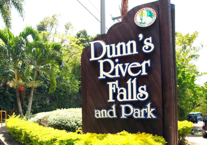 Dunns River Falls and Fern Gully Highlight Tour - Itinerary and Activities
