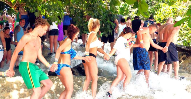 Dunns River Falls and Fern Gully Highlight Tour - Experience Highlights