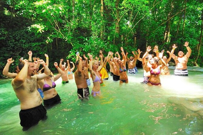 Dunns River Falls and Horse Back Riding Excursion - Guest Experiences and Reviews