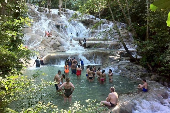 Dunns River Falls and Jamaica Sightseeing Private Tour - Traveler Reviews and Feedback