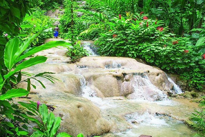 Dunn's River Falls and Konoko Garden - Booking and Cancellation
