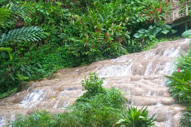 Dunn's River Falls and Konoko Garden - Booking Your Stay