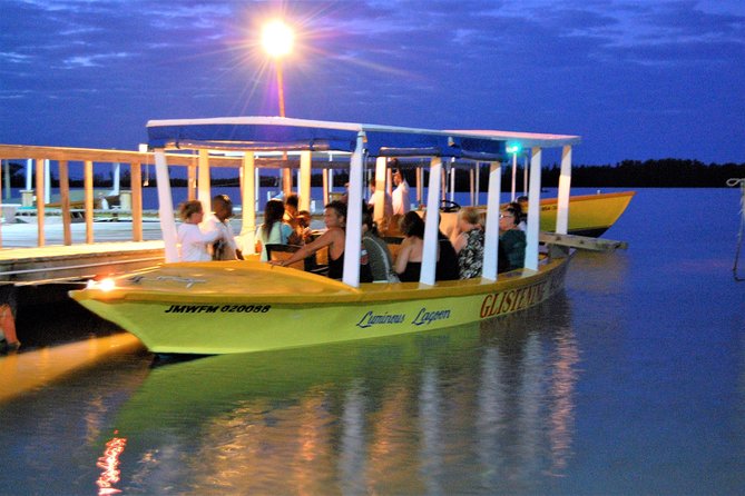 Dunns River Falls and Luminous Lagoon Guided Tour From Grand Palladium - Tour Overview