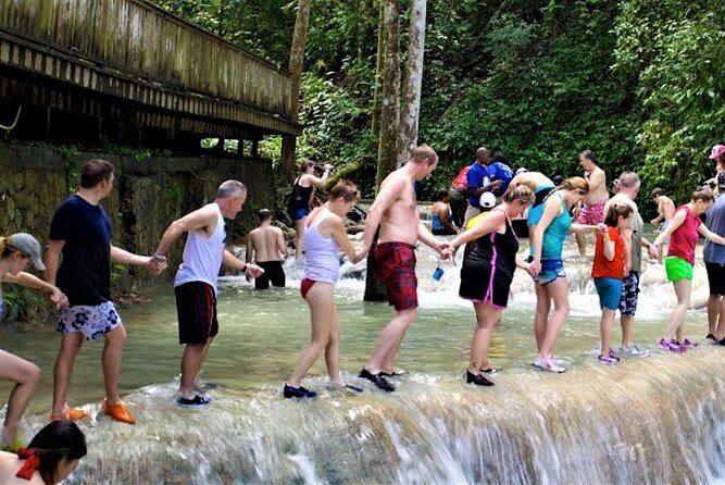 Dunns River Falls and Luminous Lagoon Guided Tour From Grand Palladium - Whats Included
