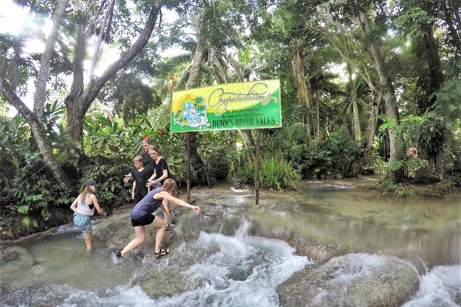 Dunns River Falls and Ocho Rios Shopping Tour From Falmouth - Additional Considerations