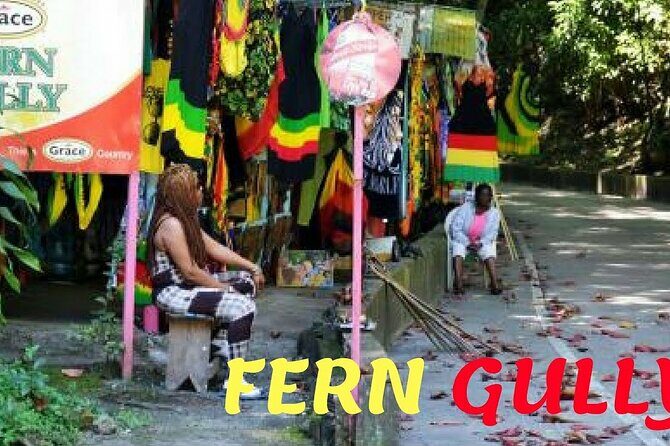 Dunn's River Falls and OchoRios Highlight View Scenic Fern Gully - Who Is This Tour Perfect For?