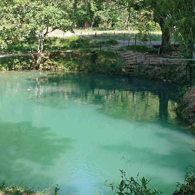 Dunn's River Falls, Blue Hole and Horseback Riding Tour - Discover the Blue Hole