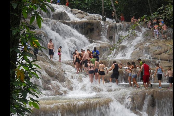 Dunns River Falls & Bob Marley - Dunns River Falls Experience
