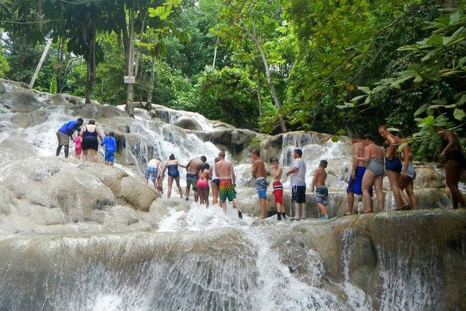 Dunns River Falls & Bob Marley - Tour Details and Pricing