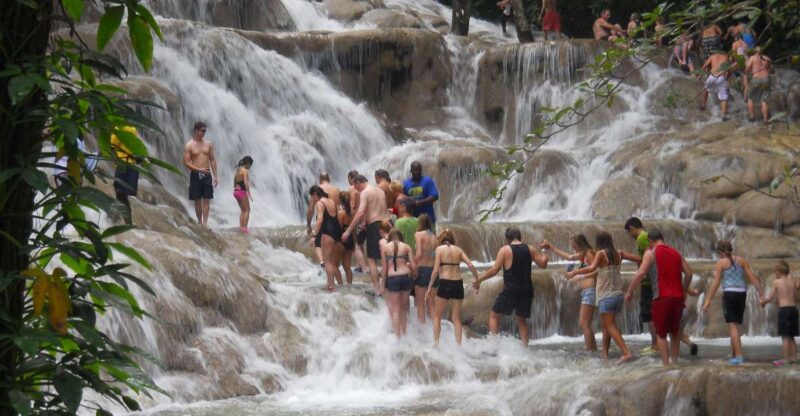 Dunns River Falls Climb and Private Transportation - Experience Highlights