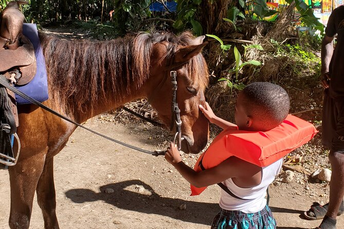 Dunns River Falls Climb, Zipline and Horseback Riding Private Tour - Transportation and Accessibility