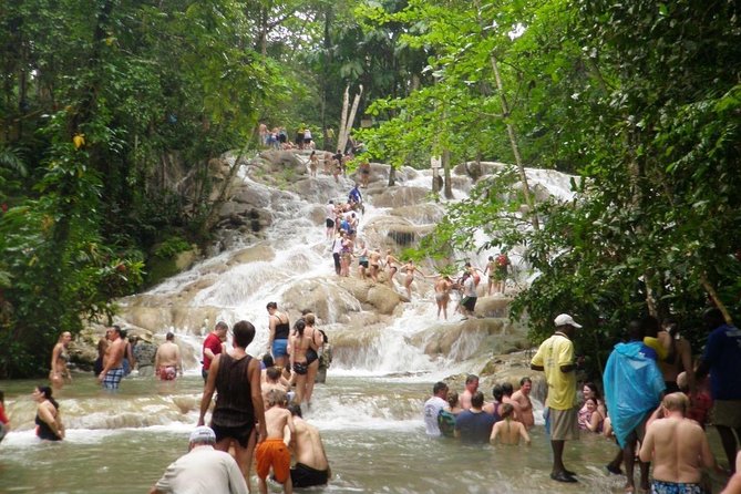 Dunns River Falls - Reviews and Feedback
