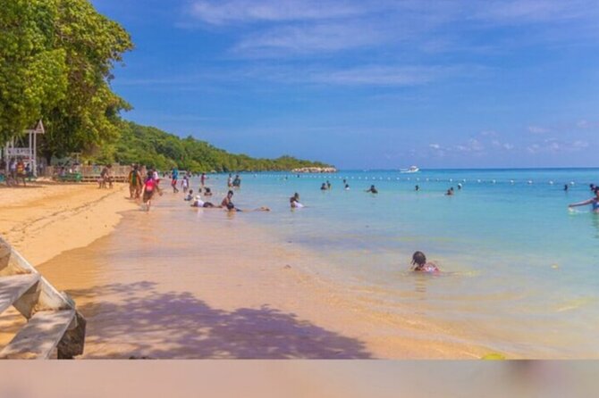 Dunn's River Falls Day-Trip - Feedback and Reviews
