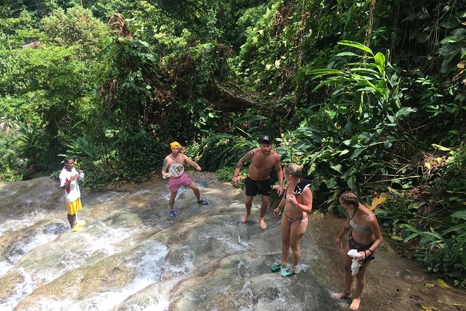 Dunn's River Falls & Horse Back Riding Transportation Only - Highlights of Dunns River Falls