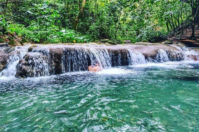 Dunns River Falls & Luminous Lagoon Guided Tour From Montego Bay - Experiencing Luminous Lagoon