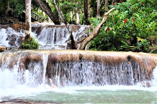Dunns River Falls & Luminous Lagoon Guided Tour With Admission From Falmouth - Boat Tour on Lagoon