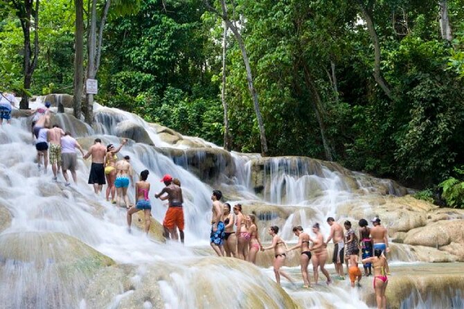 Dunns River Falls & Luminous Lagoon Guided Tour With Admission From Falmouth - Jamaican Jerk Lunch