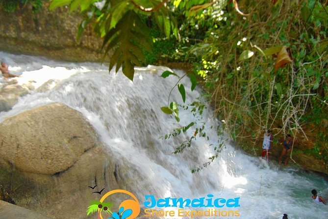 Dunns River Falls & Ocho Rios City Tour - Tips for a Great Experience