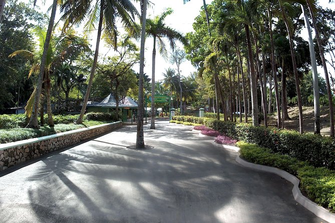 Dunns River Falls Park and Beach - Tour Experience Considerations