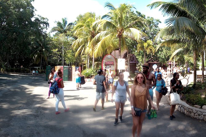 Dunns River Falls Park and Beach - Booking Your Stay