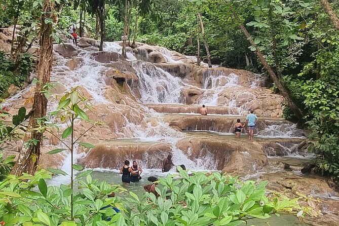 Dunns River Falls Private Tour ** {Entry Tickets Included }** - Tour Conditions