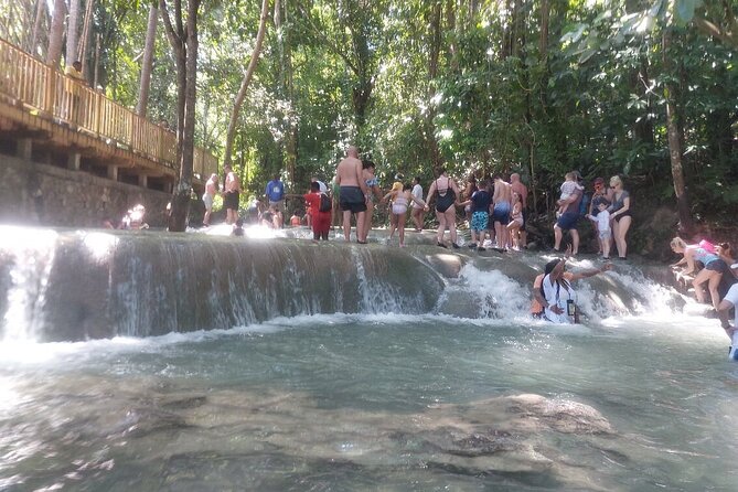 Dunns River Falls Private Tour ** {Entry Tickets Included }** - Exploring Dunns River Falls