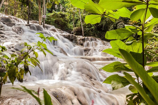 Dunns River Falls Private Tour From Montego Bay - Booking and Cancellation Policy
