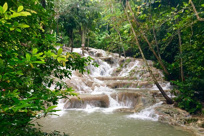 Dunns River Falls Private Tour From Montego Bay - Exploring Dunns River Falls