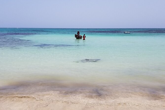 Dunns River Falls, River Tubing, and Horseback Riding With Transportation - Exceptional Drivers and Friendly Customer Service