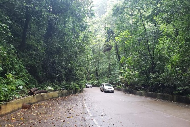 Dunns River Falls Scenic Tour - Guided Tour Experience