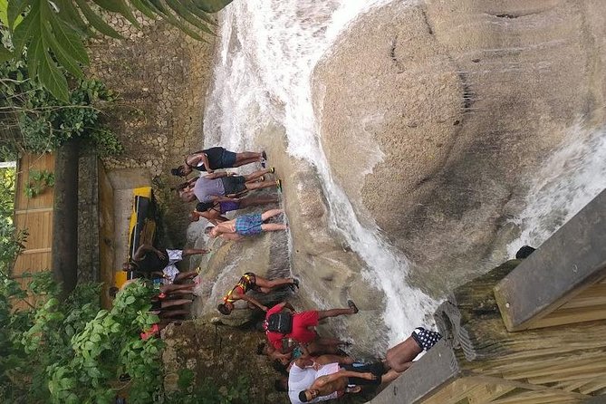 Dunns River Falls Scenic Tour - About the Tour